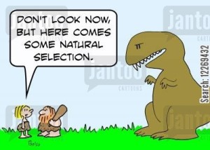 natural Selection